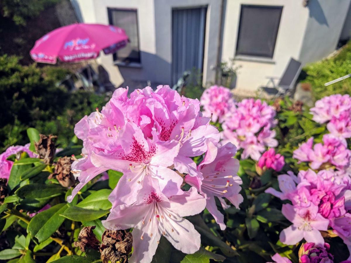 Ferienwohnung Mit Terrasse Гримма Экстерьер фото